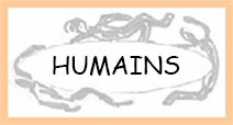 TABLEAUX   Humains